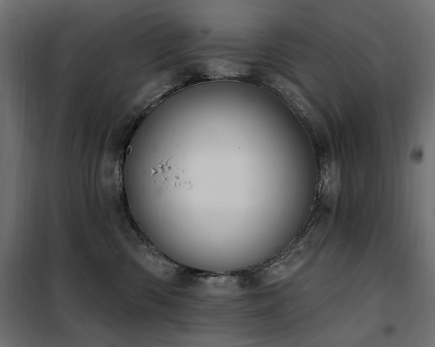 X0000100750426200806191148