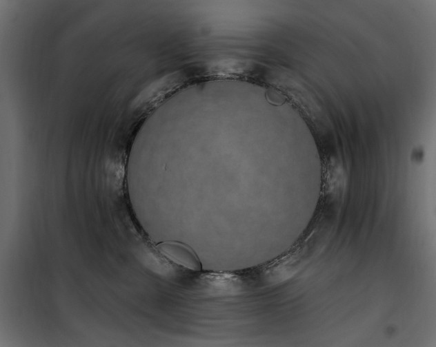 X0000100750427200806191148