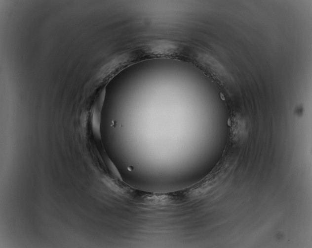 X0000100750428200806191148