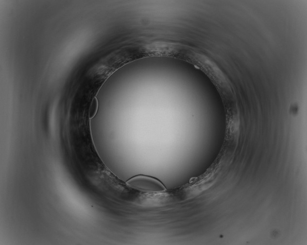 X0000100750429200806191148