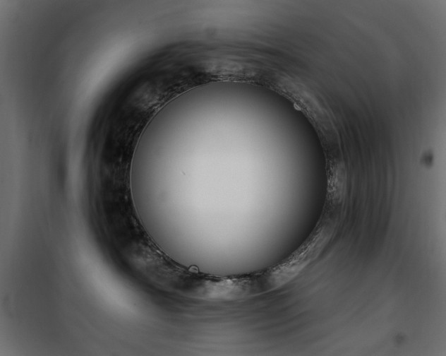 X0000100750430200806191148