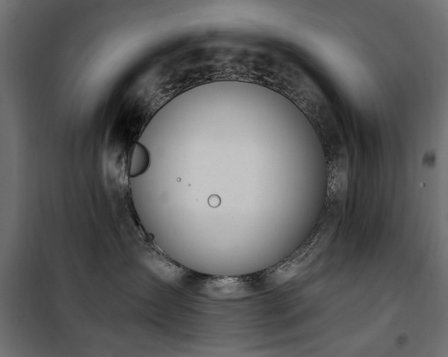 X0000100750431200806191148