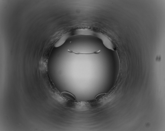 X0000100750432200806191148