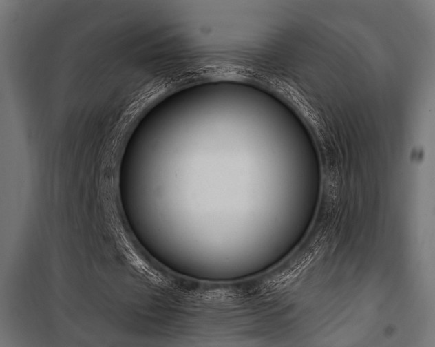 X0000100750433200806191147