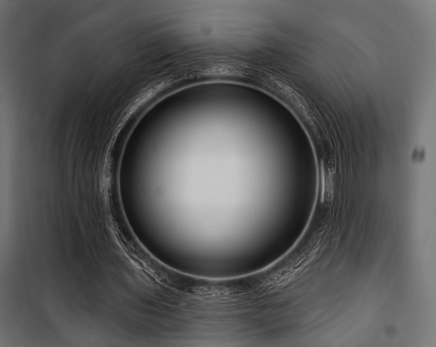 X0000100750435200806191147