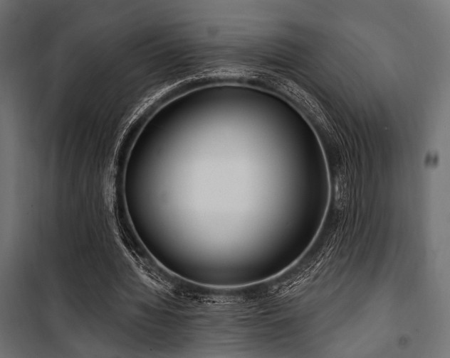 X0000100750436200806191147