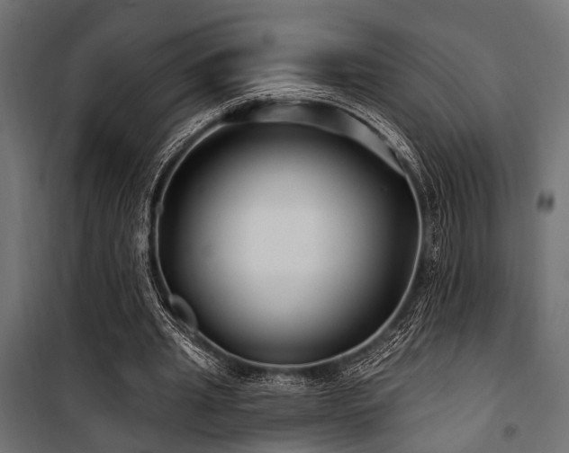 X0000100750437200806191147