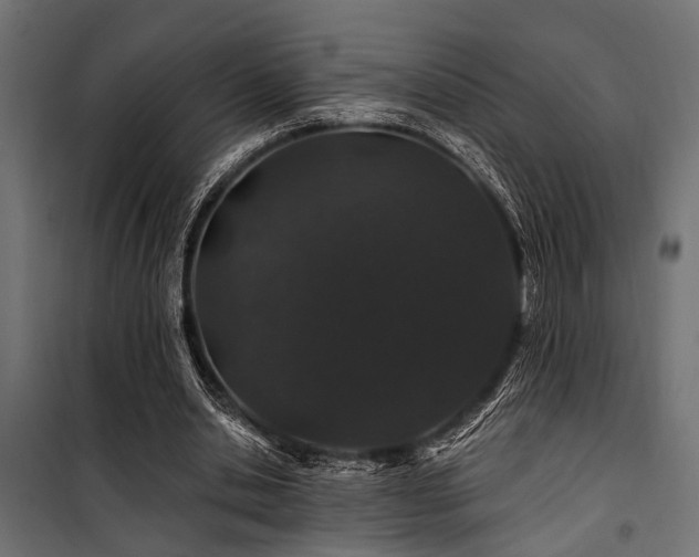 X0000100750438200806191147