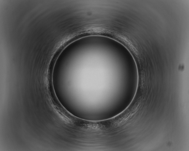 X0000100750439200806191147