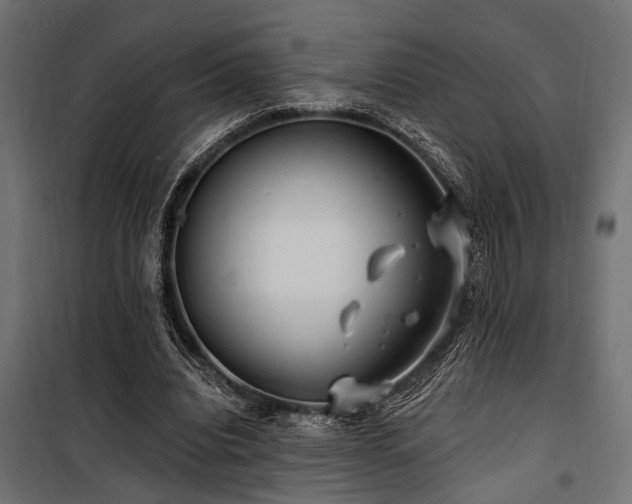 X0000100750440200806191147