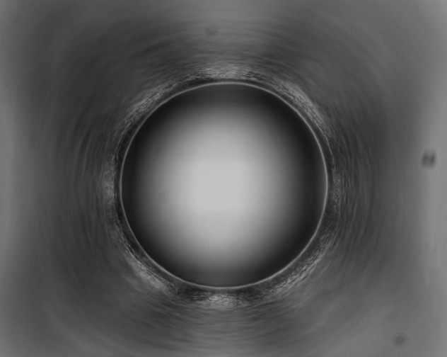 X0000100750441200806191147