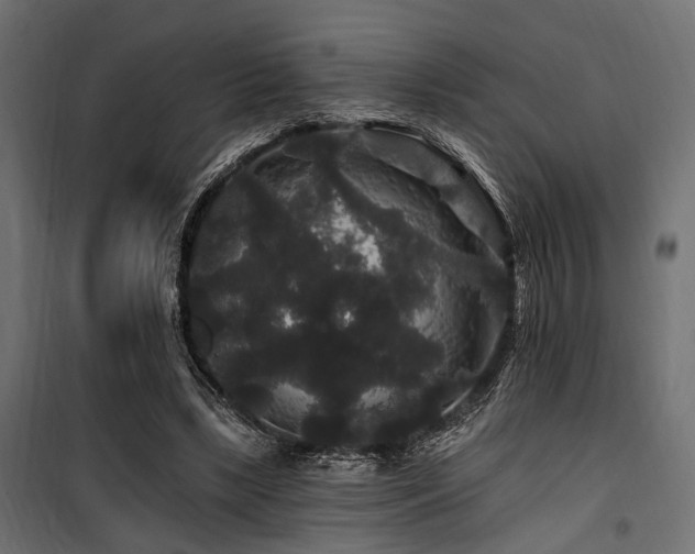 X0000100750443200806191147