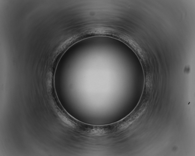 X0000100750445200806191147