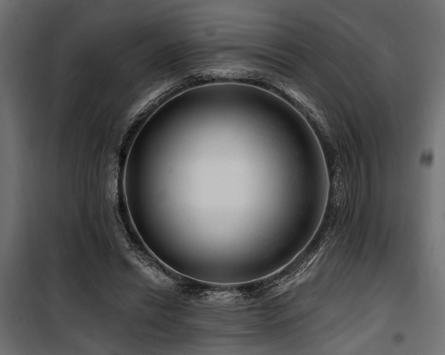 X0000100750446200806191147