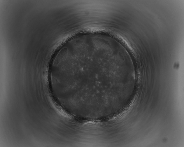 X0000100750447200806191147