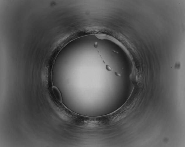 X0000100750448200806191147