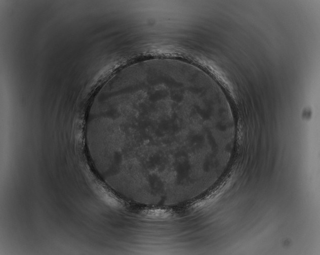 X0000100750449200806191147