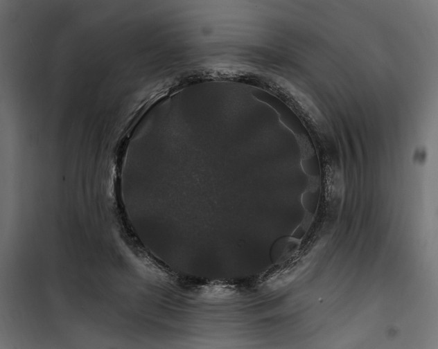 X0000100750451200806191148