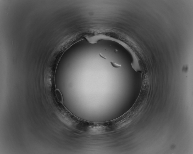 X0000100750452200806191148