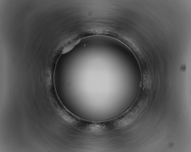 X0000100750453200806191148