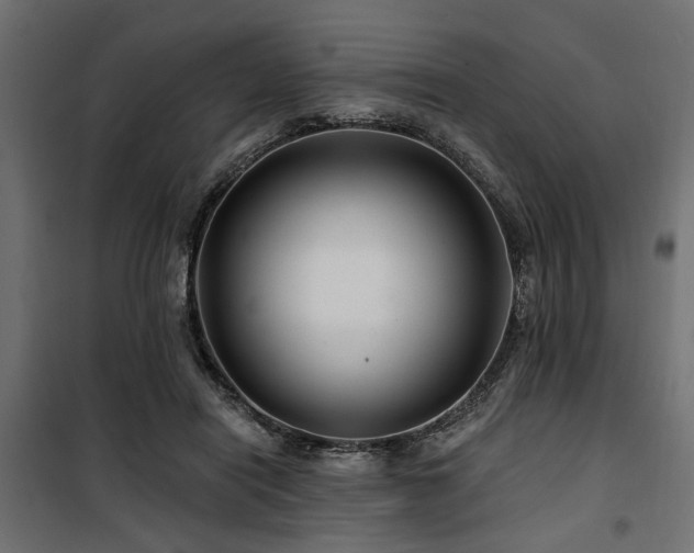 X0000100750454200806191148