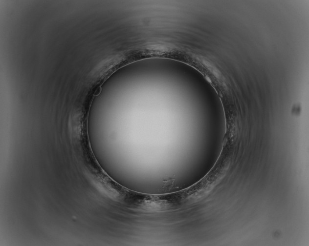 X0000100750455200806191148