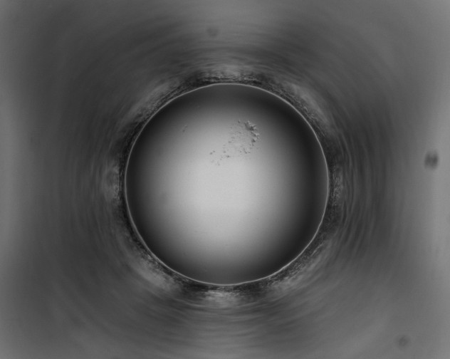 X0000100750457200806191148