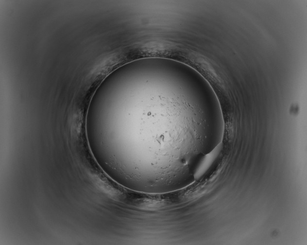 X0000100750458200806191148