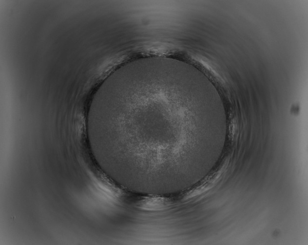 X0000100750459200806191148