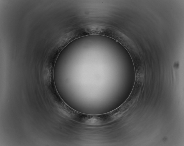 X0000100750460200806191148