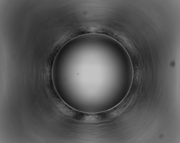 X0000100750461200806191148