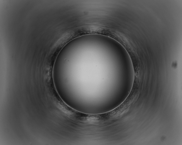 X0000100750462200806191148