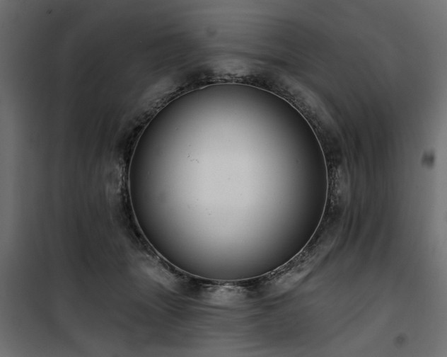 X0000100750463200806191148