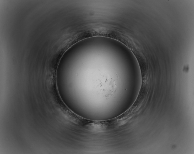 X0000100750464200806191148