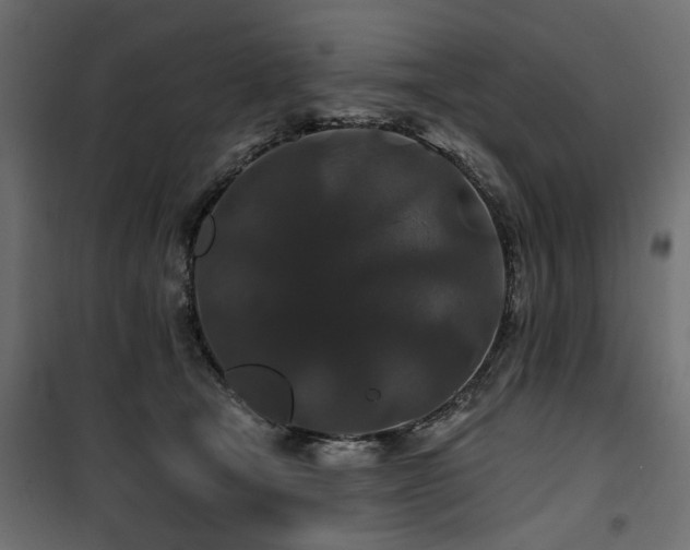 X0000100750465200806191148