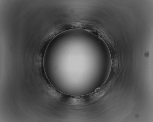 X0000100750466200806191148