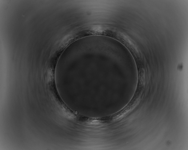 X0000100750467200806191148