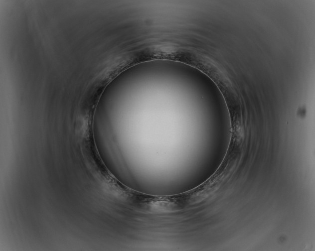 X0000100750468200806191148