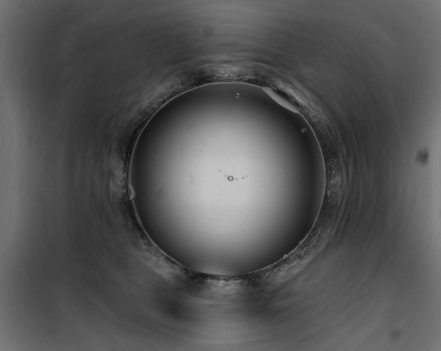 X0000100750469200806191148