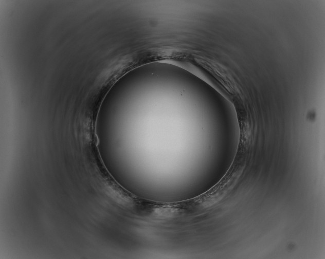 X0000100750470200806191148