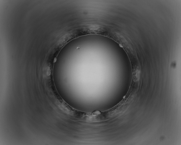 X0000100750472200806191148