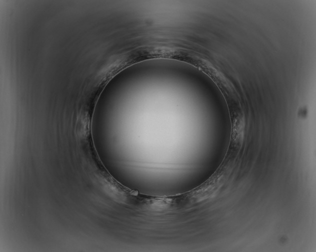 X0000100750474200806191148