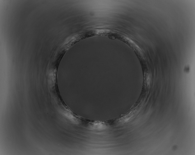 X0000100750475200806191148