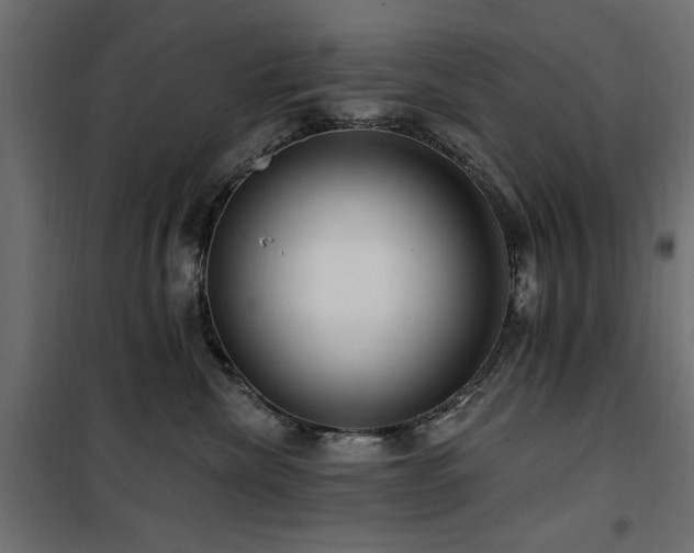 X0000100750476200806191148