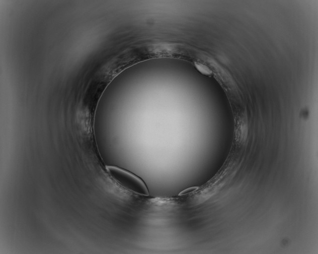 X0000100750477200806191148