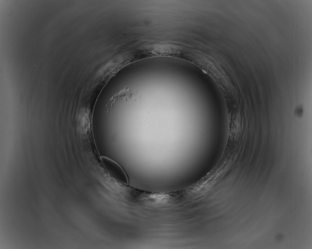 X0000100750478200806191148