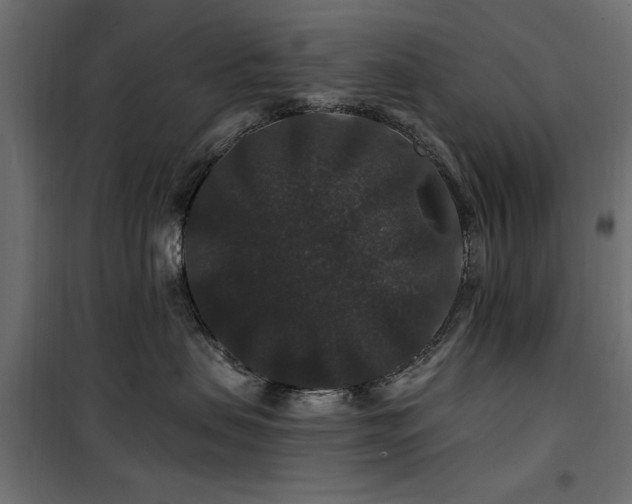 X0000100750479200806191148