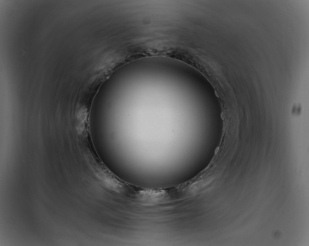 X0000100750480200806191148