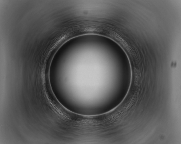 X0000100750482200806191147