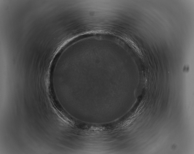 X0000100750484200806191147